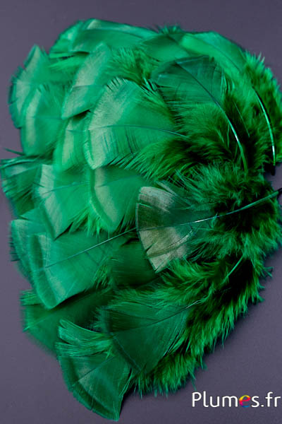 Bronzetruthan gebleicht - 5-15 cm - smaragd